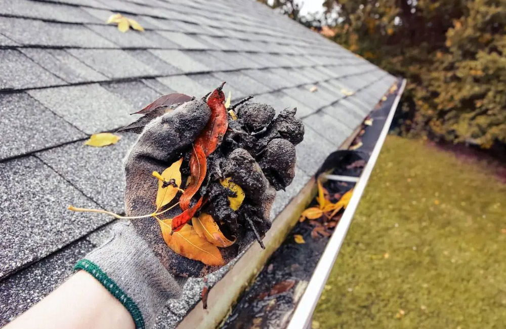 What Are The Benefits Of Professional Gutter Maintenance?