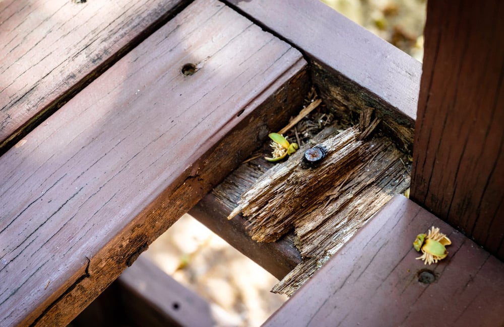 How Can I Tell If My Deck Needs Structural Repairs?