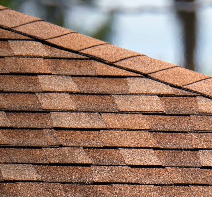 Shingle Roof Repair Experts
