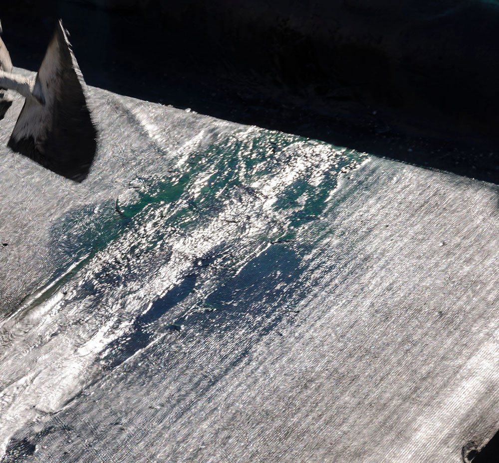 Why Choose Flat Roof Waterproofing