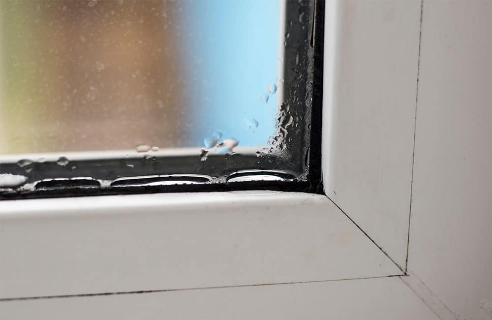 Moisture On the Inside of My Windows