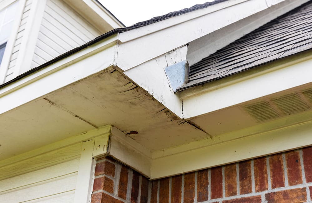 What Are The Early Warning Signs Of Fascia and Soffit Rot?
