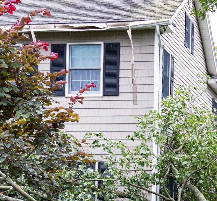 Navigating Wind Damage Insurance Claims